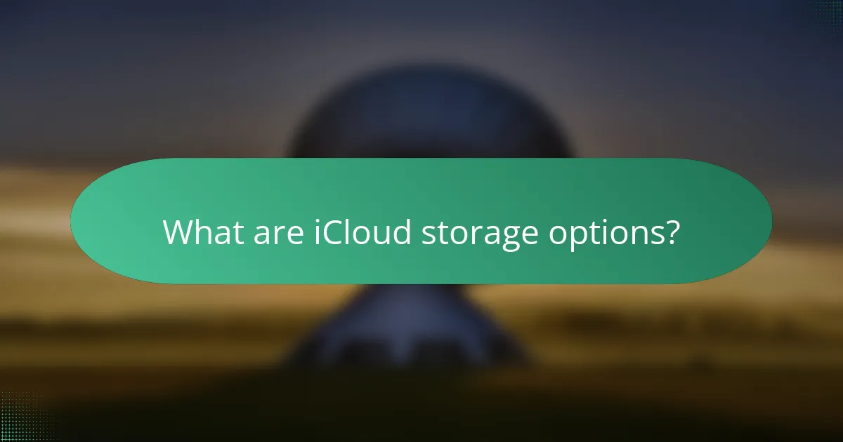 What are iCloud storage options?